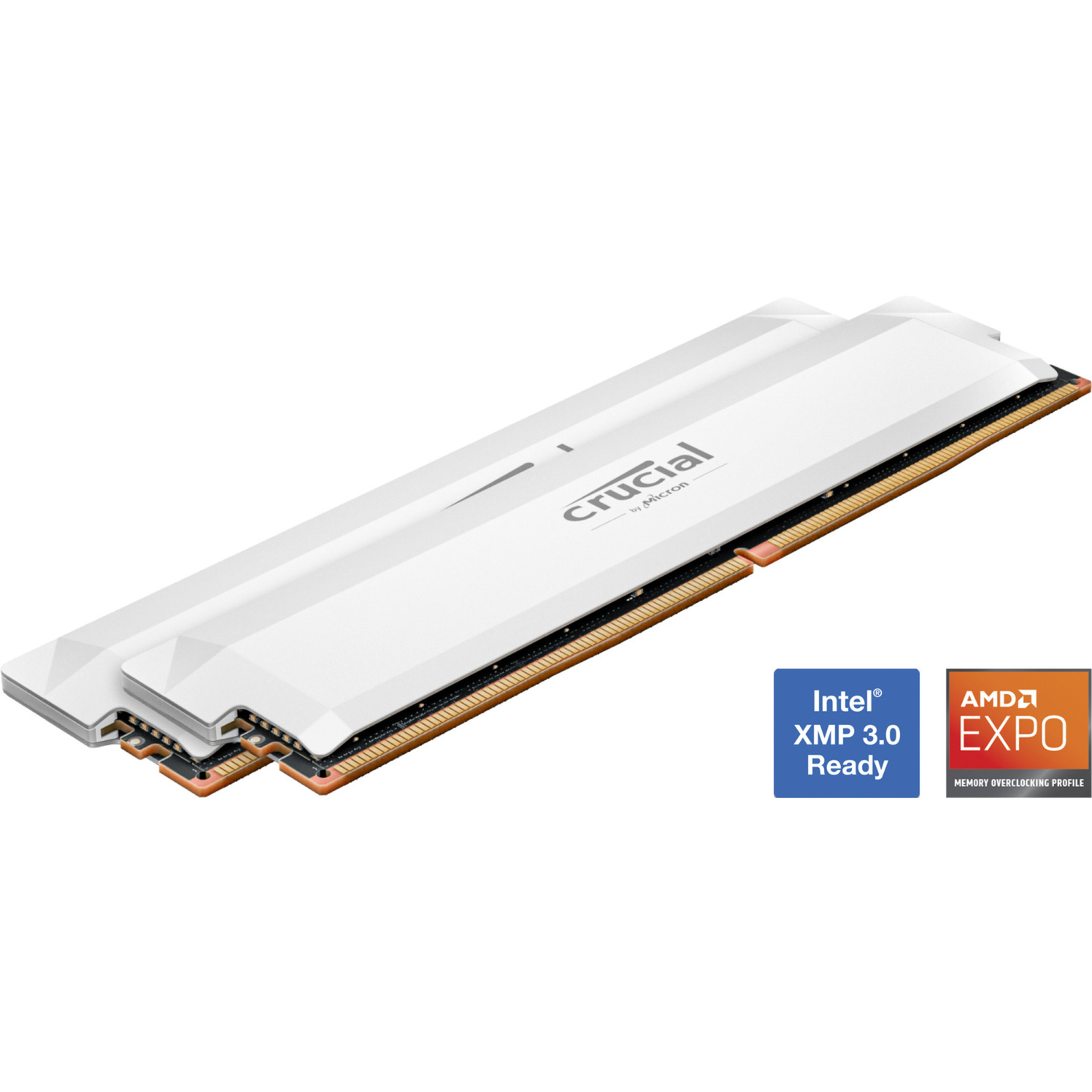Crucial - Blanc - 32GB (2x16GB) - 6000MHZ (DDR5)